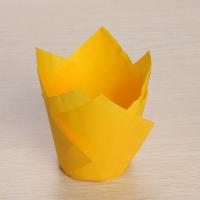 Форма бумажная 