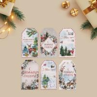 Шильдик новогодний декоративный в наборе «Волшебный праздник», 6 шт., 9×5 см