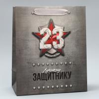 Пакет ламинированный «С 23 февраля», MS 18 х 23 х 10 см