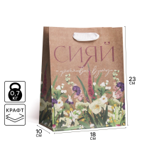 Пакет подарочный крафтовый, «Сияй», MS 18 х 23 х 8 см