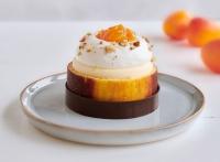 Конфитюр Абрикос с кусочками 60% (топфил)