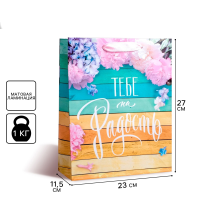 Пакет подарочный ламинированный, «Тебе на радость», ML 23 х 27 х 8 см