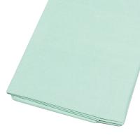 Бумага упаковочная тишью, бледно-зеленый 50 х 66 см