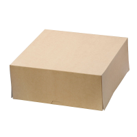 Упаковка для печенья ECO CAKE 6000 255х255х105 мм