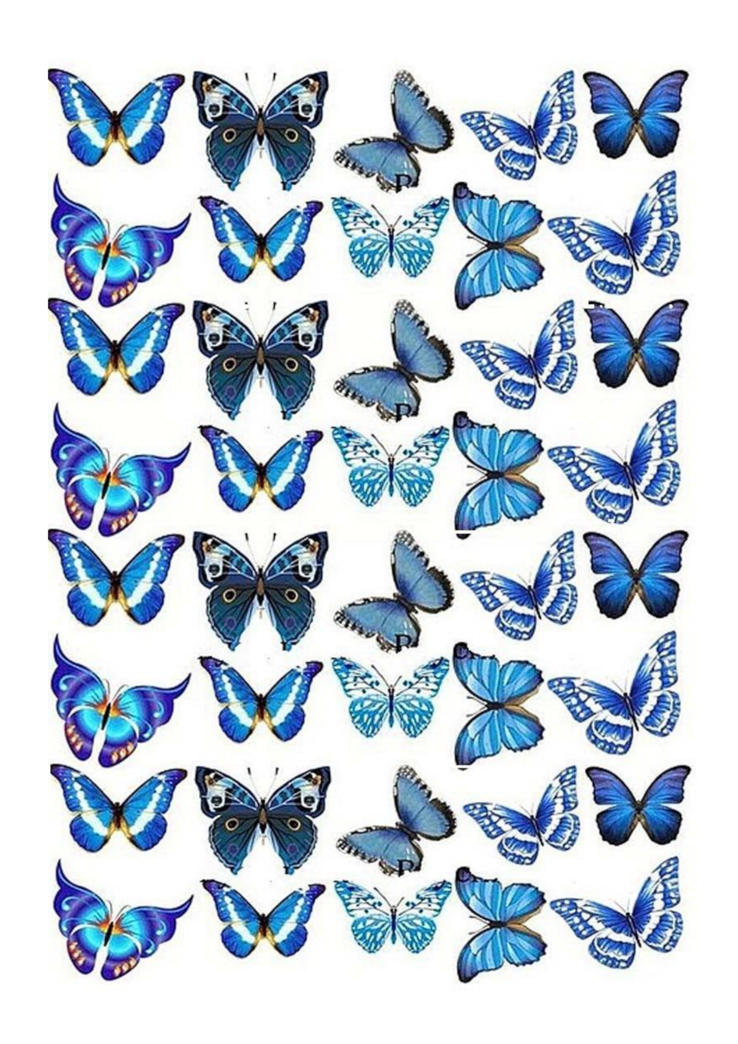 Вафельные бабочки цветные, лист А4 (№1)