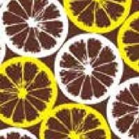 Форма-лист для декора БЛИСТЕРШОК лимоны