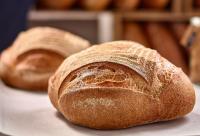 Закваска ржаная сухая 