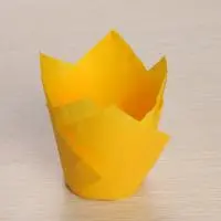 Форма бумажная 