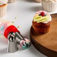 Насадка кондитерская «Сфера.Прорези изогнутые со звездой», d=3 см, вых. 2,3 см