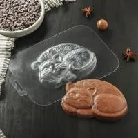 Форма для шоколада и конфет «Кисонька», 127×93×14 мм