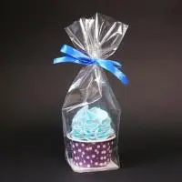 Пакет прозрачный с жестким дном, 55*60 мм, высота 23 см