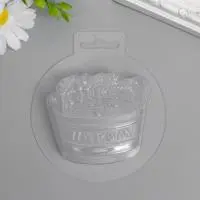 Пластиковая форма 