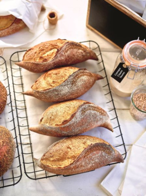 САПОРЕ САДКО ТЕМПО жидкая пшеничная закваска (канистра 11 кг)