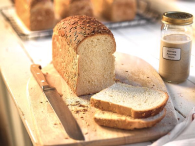 САПОРЕ АЛЬЦИНА ТЕМПО жидкая пшеничная закваска (канистра 11 кг)