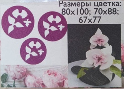 Трафарет Орхидея 2 зел.